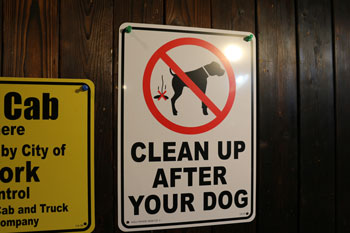 アメリカ雑貨屋サンブリッヂ　注意看板　犬  フン　掃除　禁止　プラスチックサイン　軽量